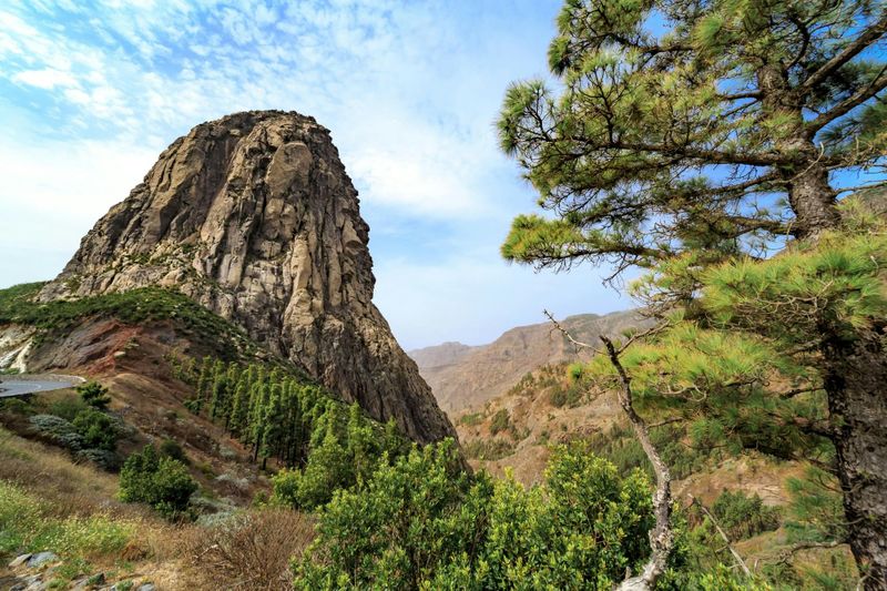 Billet Visite de La Gomera avec la forêt de Garajonay et Saint-Sébastien