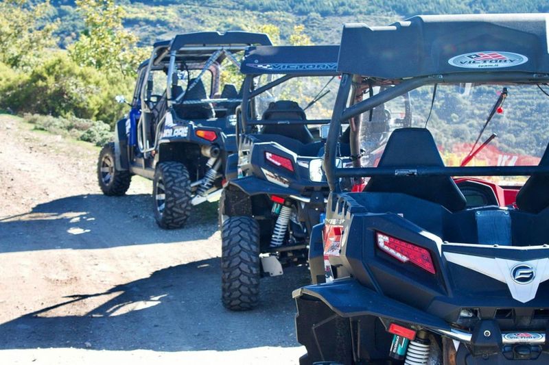 Billet Tour en buggy depuis Aritzo