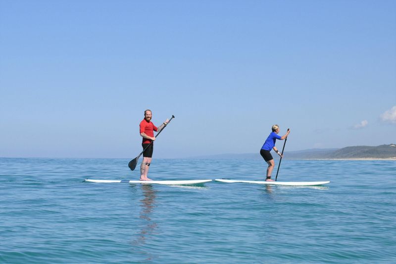 Billet Visite de la faune en stand up paddle et excursion d'une journée sur la plage en 4x4 à Noosa