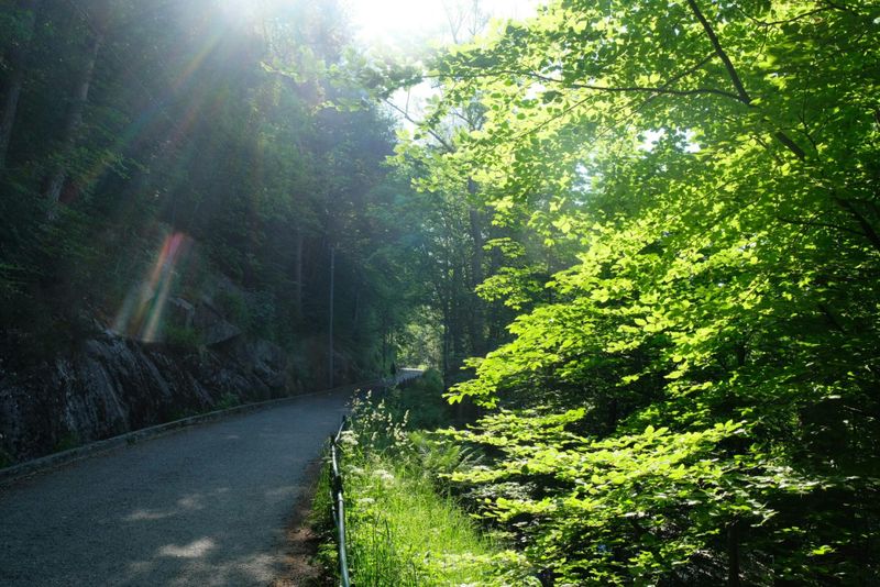 Billet Visite en petit groupe de Bergen avec randonnée et histoire locale