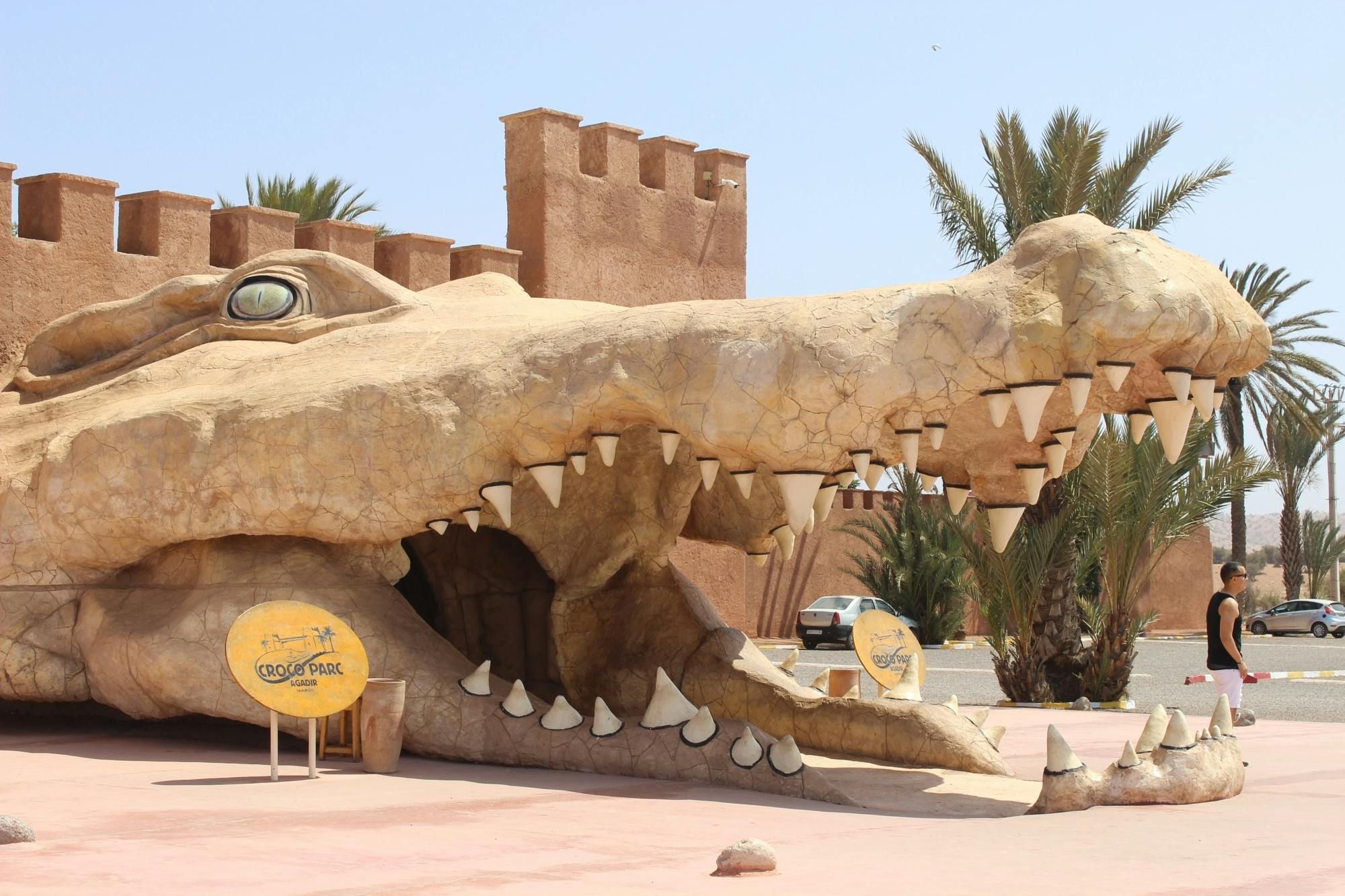 Billet Visite du Crocoparc depuis Agadir ou Taghazout avec frais d'entrée