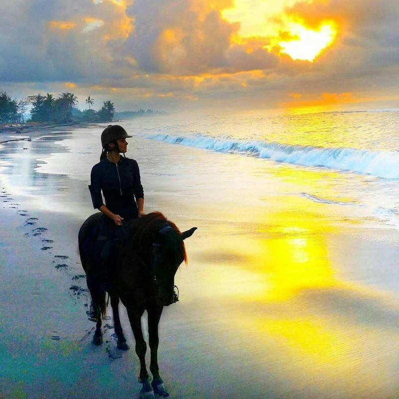 Billet Expérience d'équitation à Bali et visite d'une plantation de café