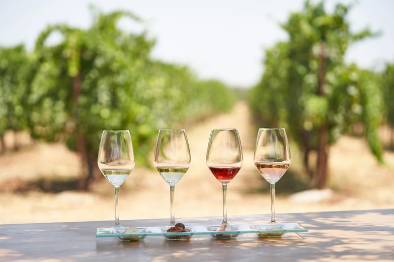 Billet Dégustation de vin « Enoma » à Kos