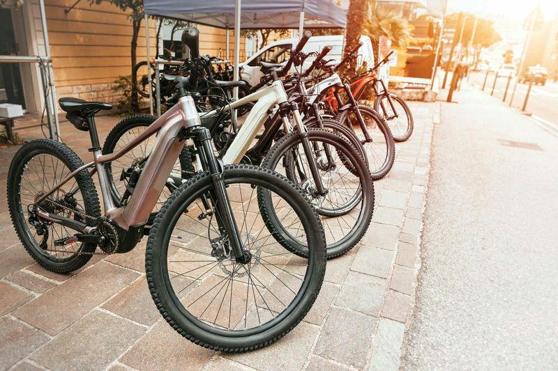 Billet Collection de croisières fluviales : visite de Belgrade en vélo électrique