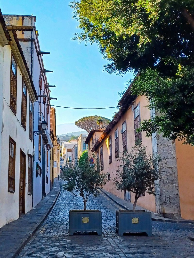 Billet Sites & Saveurs : Icod de los Vinos, bananes et vin de La Orotava