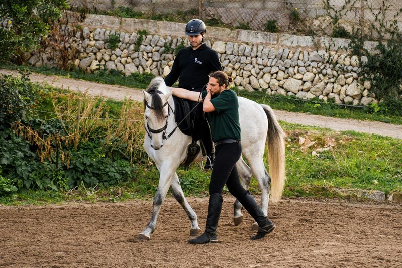 Billet Leçon d'équitation classique avancée avec PRE Horses à Majorque