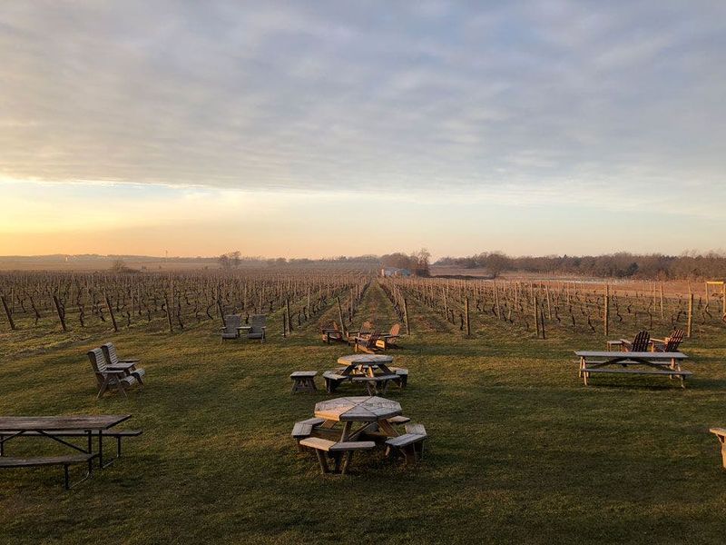 Billet Excursion d'une journée avec dégustation de vins au départ de New York