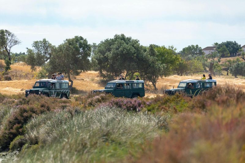 Billet Safari nature au Guadiana - Journée complète en 4x4