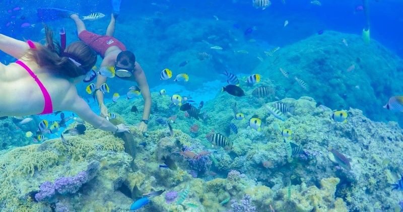 Billet Croisière d'une journée sur le lagon de Bora Bora avec déjeuner barbecue