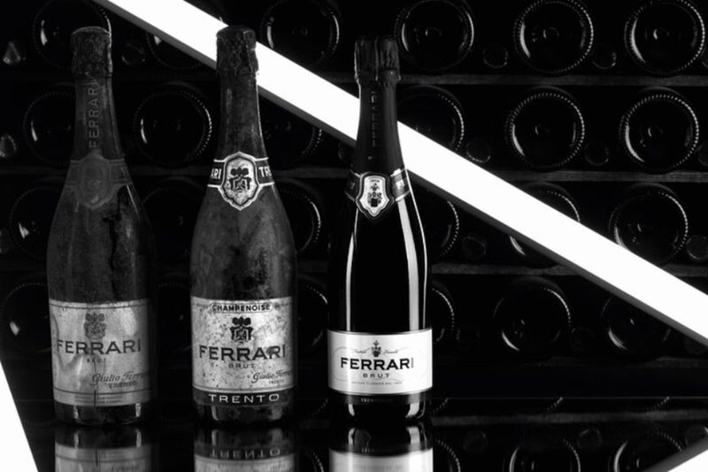 Billet Visite guidée des vignobles de Trentodoc avec déjeuner traditionnel du Trentin à Ravina