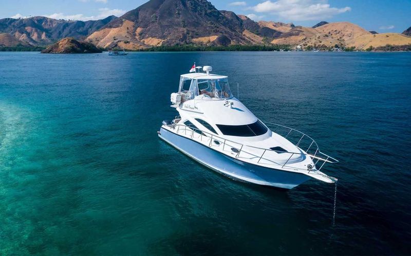 Billet Excursion d'une journée dans le parc national de Komodo avec plongée en apnée et rencontres avec des animaux sauvages