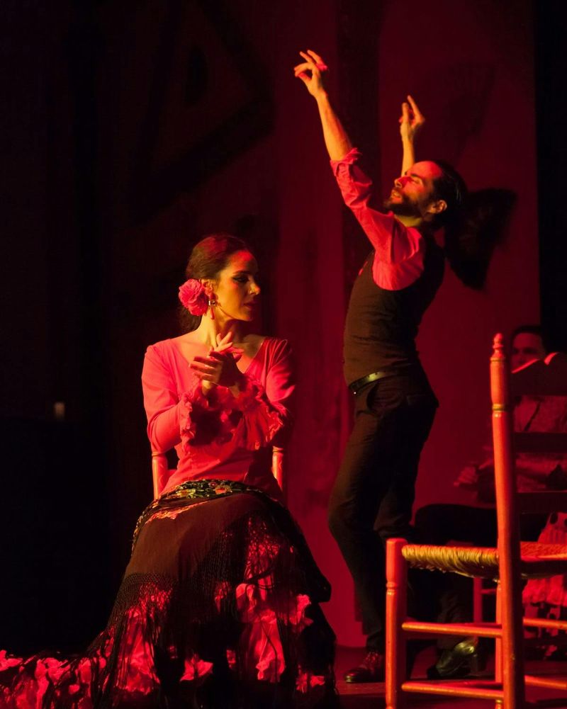 Billet Billets d'entrée pour le spectacle de flamenco à El Palacio Andaluz