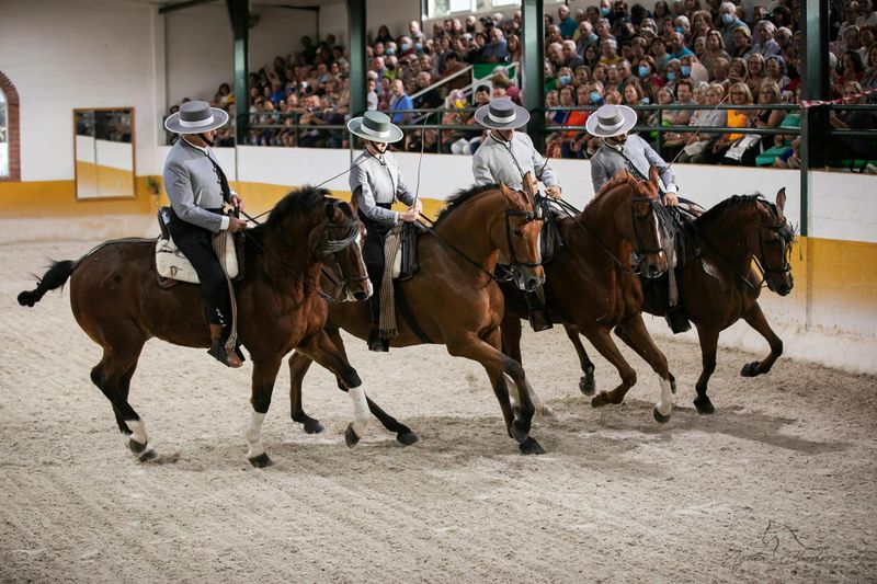 Billet Spectacle de chevaux andalous et de flamenco avec dîner à Malaga