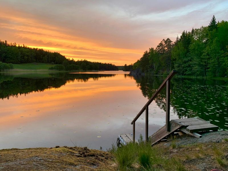 Billet Stockholm : randonnée au coucher du soleil dans le parc national de Tyresta avec repas