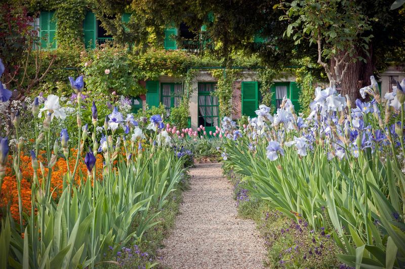Billet Excursion à Giverny et au musée Marmottan Monet