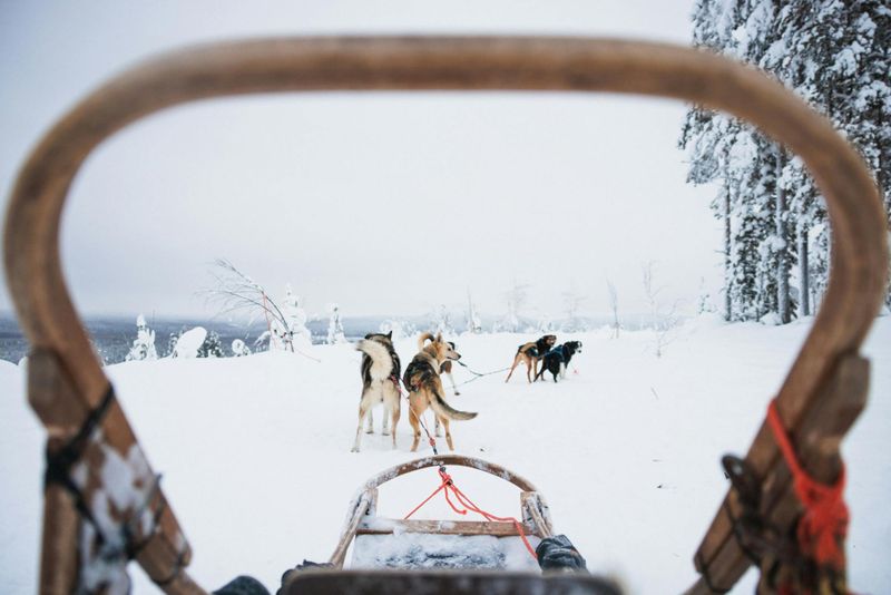Billet Long sentier des Huskys à travers le cercle polaire arctique