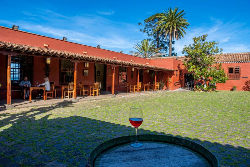 Billet Nat Geo Day Tour : Le vin aux Canaries, une expérience sensorielle