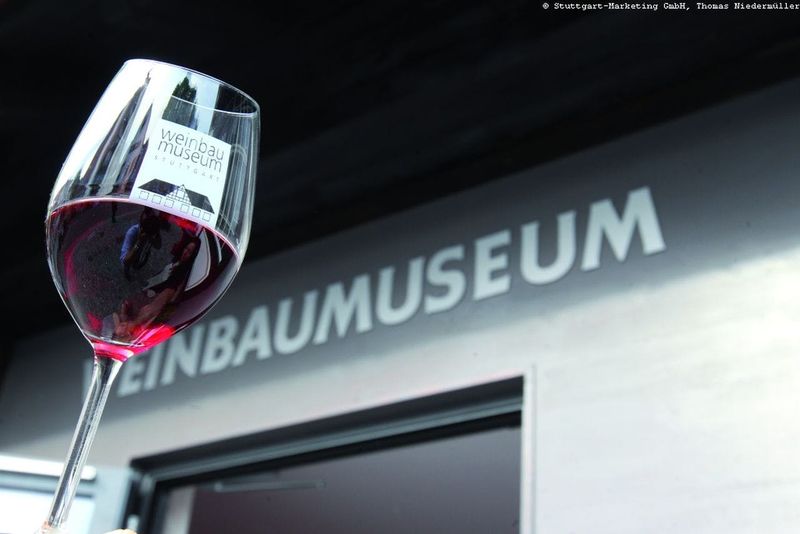 Billet Dégustation de vin le vendredi au Weinbaummuseum à Stuttgart