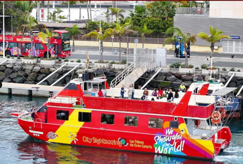Billet Excursion en bateau à Las Palmas