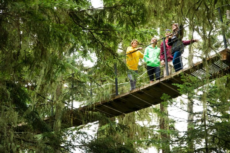Billet Visite guidée d'une randonnée dans les arbres à Whistler