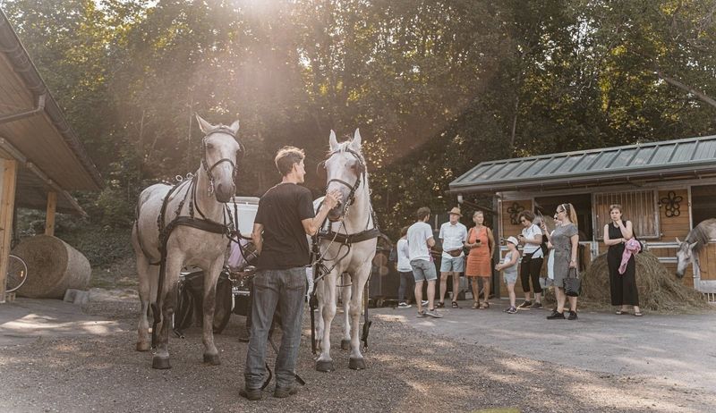 Billet Secrets du fiacre viennois et promenade en calèche à Vienne
