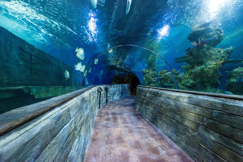 Billet L'aquarium national de Malte - billet