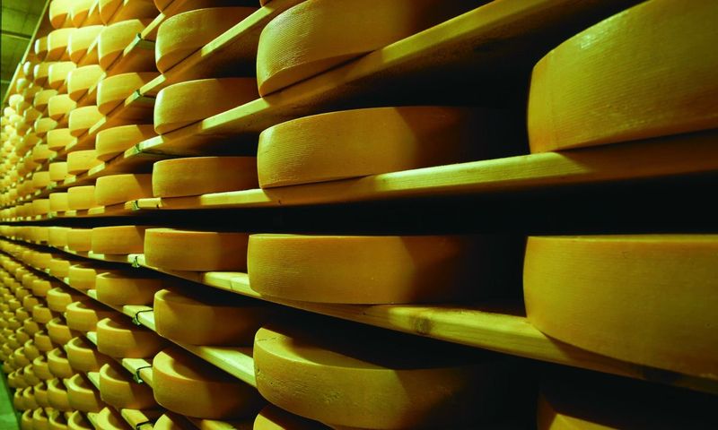 Billet Visite de Gruyères, du musée du fromage et de la chocolaterie au départ de Genève en bus