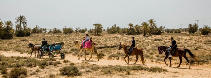 Billet Excursion à dos de chameau, de cheval et en calèche dans la campagne de Djerba