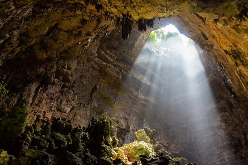Billet Excursion d'une journée à Alberobello, aux grottes de Castellana et à Polignano au départ de Bari