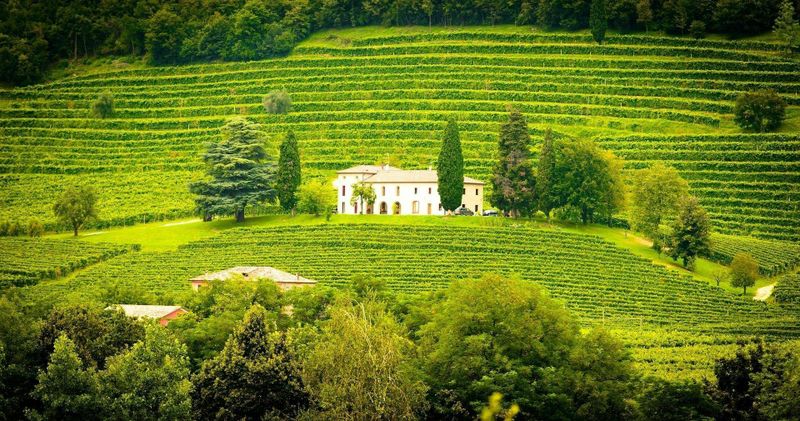 Billet Vignobles de caractère Willamette Valley