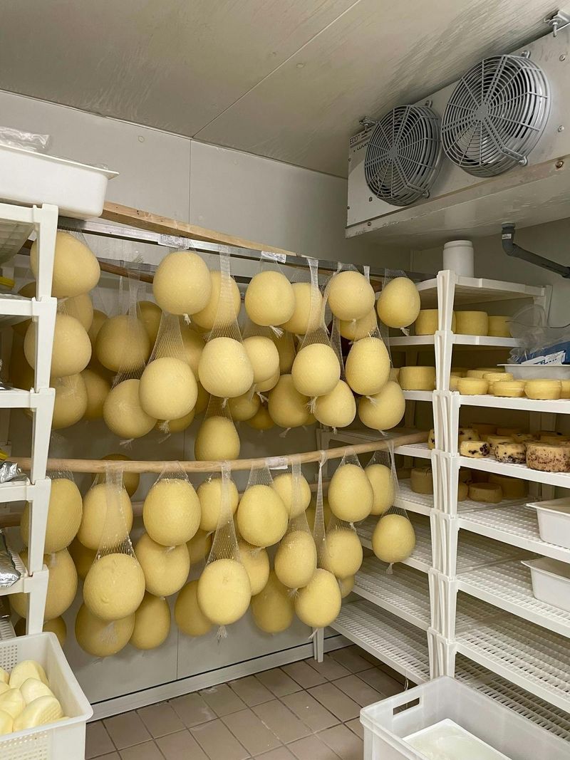 Billet Expérience semi-privée de fabrication et de dégustation de fromage