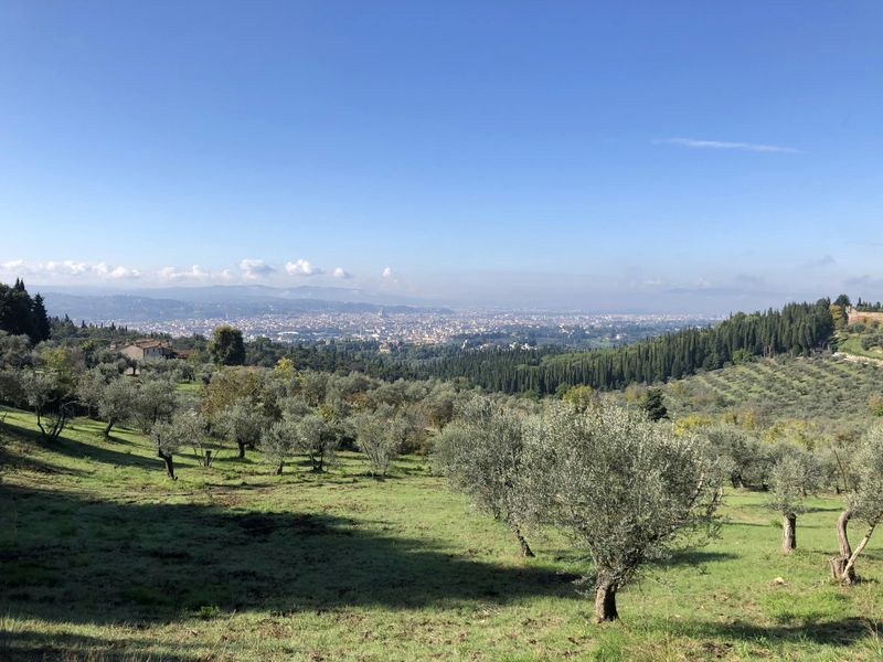 Billet Randonnée d'une demi-journée dans les collines de Fiesole avec vin et déjeuner