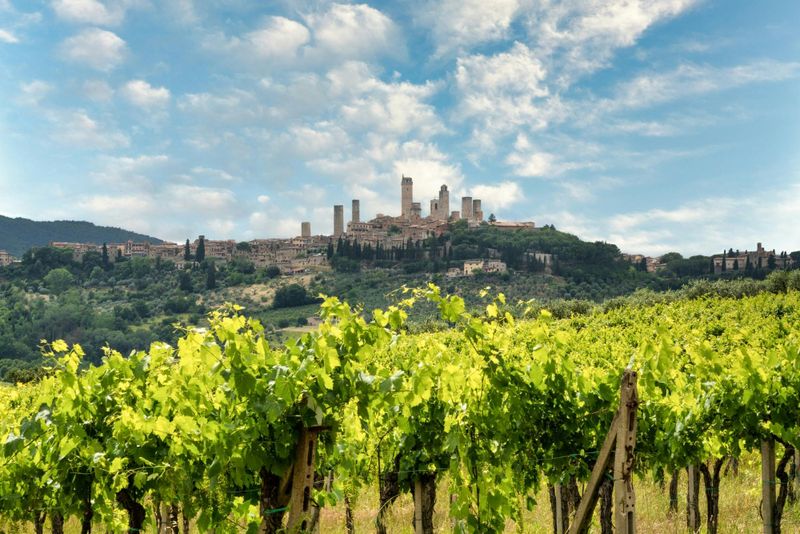 Billet Expérience d'équitation et de déjeuner dans un vignoble à San Gimignano