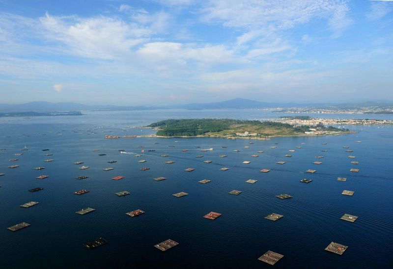 Billet Excursion d'une journée et excursion en bateau aux Rías Baixas au départ de Santiago