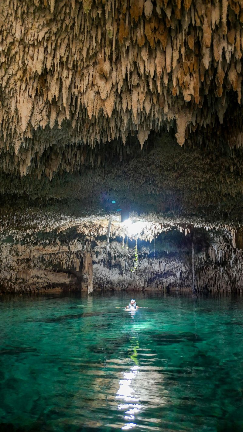 Billet Le "Cenotes Zapote Prehistóric Park" tyrolienne et visite des cénotes