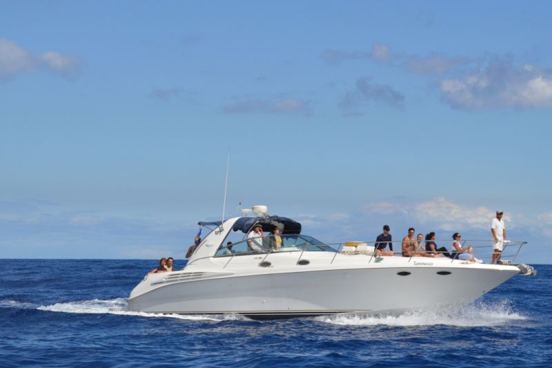 Billet Location de bateau - Sea Ray 400 Sundancer (Yacht)