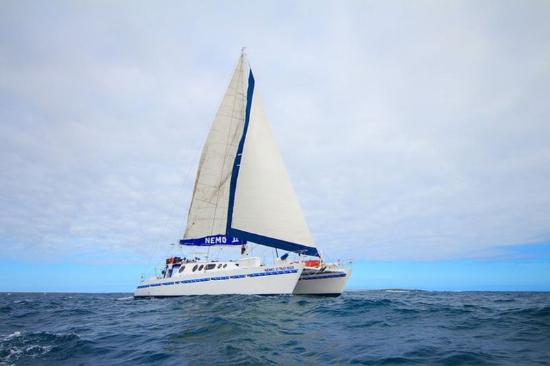 Billet Location de bateau - Nemo II (Multihull)