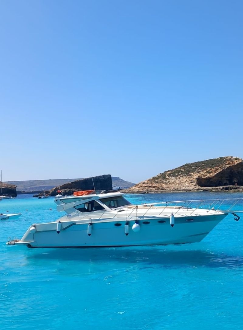 Billet Location de bateau - Wellcraft Portofino 4300 (Motorboat)