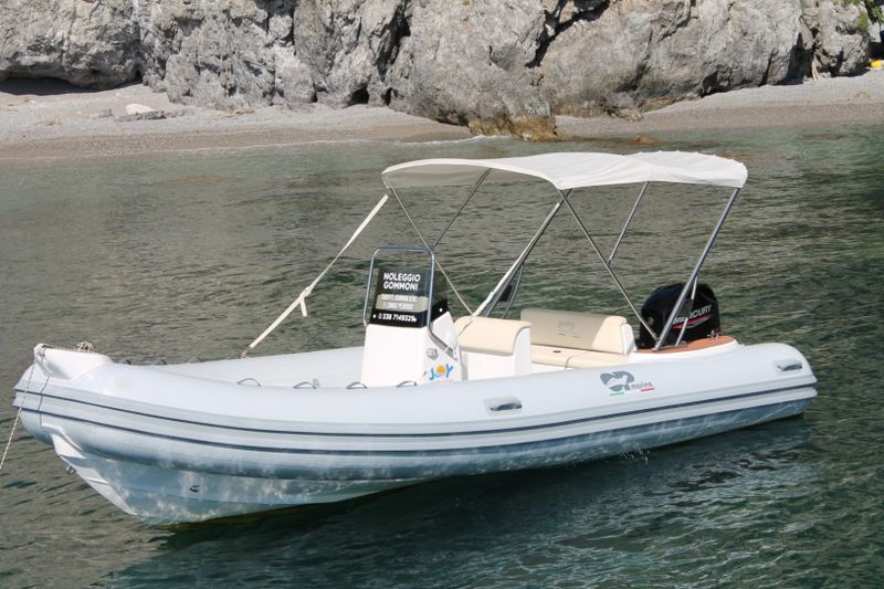 Billet Location de bateau - Predator 599 (Semi-rigid)
