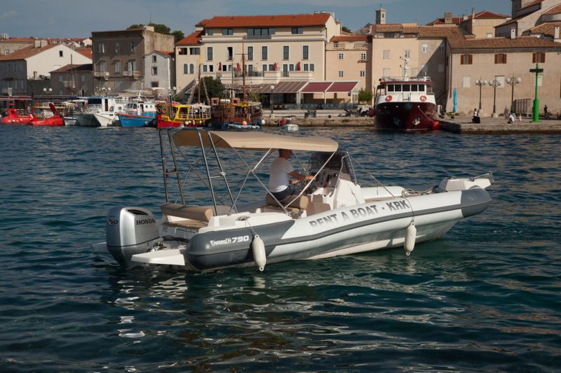 Billet Location de bateau - Marlin Boat Dynamic 790 (Semi-rigid)