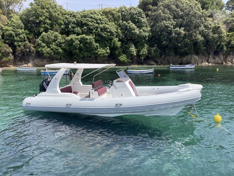 Billet Location de bateau - Tiger Proline (Semi-rigid)