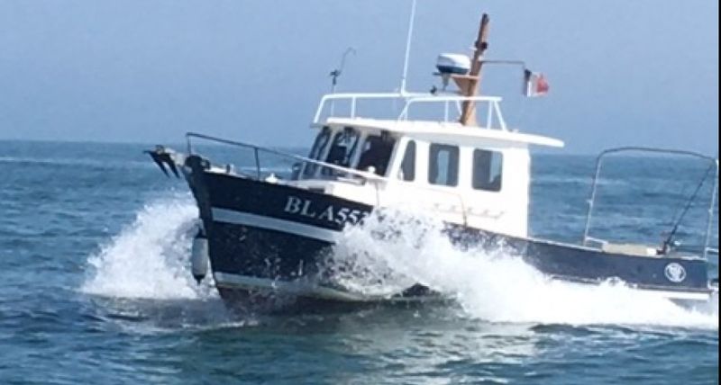 Billet Location de bateau - Rhea 750 Timonier (Motorboat)