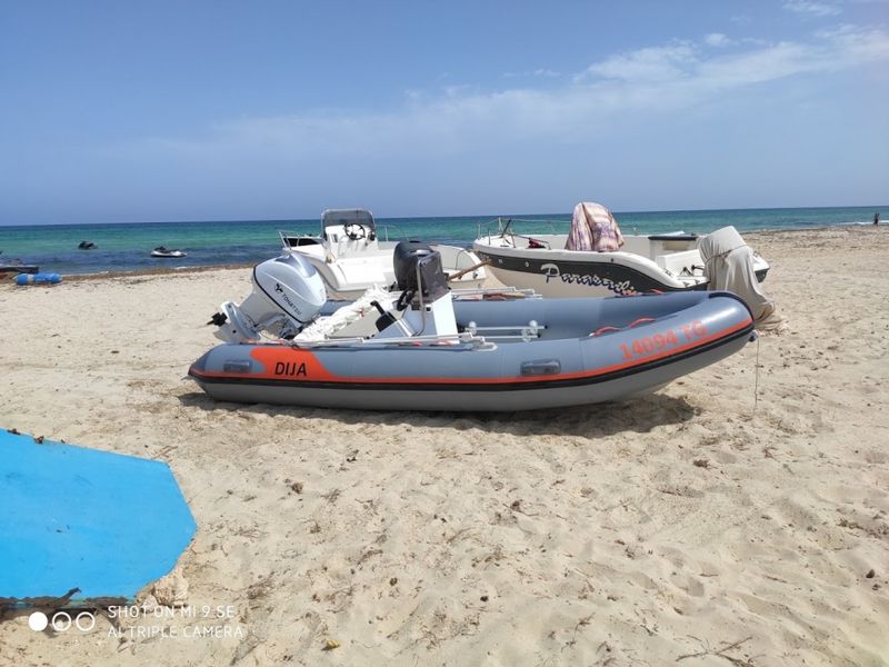 Billet Location de bateau - hippocampe focchi 460 (Semi-rigid)