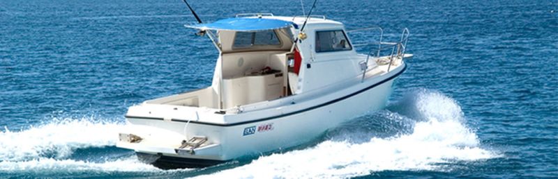 Billet Location de bateau - Elan Fisher line 22  (Motorboat)