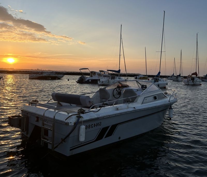 Billet Location de bateau - Jeanneau Skanes 575 (Motorboat)