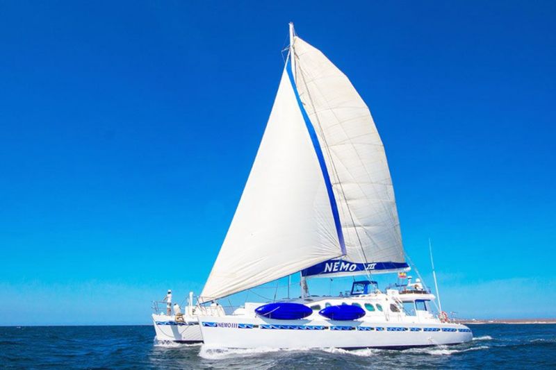 Billet Location de bateau - Nemo III (Multihull)