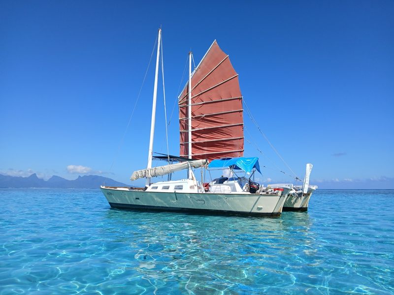 Billet Location de bateau - Wharram Tiki 38 (Multihull)