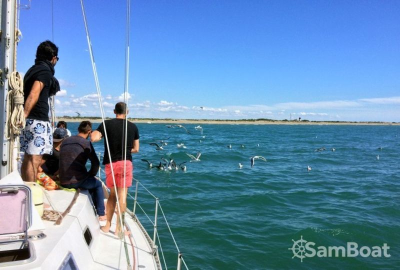 Billet Location de bateau - Freedom 12 metres (Sailboat)