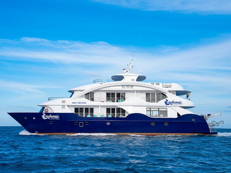 Billet Location de bateau - Power Cat - Endemic (Yacht)