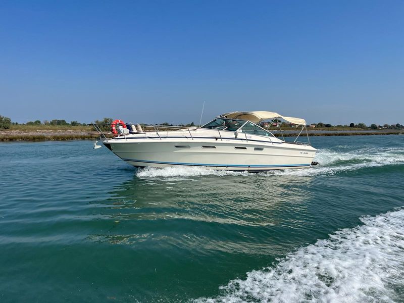 Billet Location de bateau - Sea Ray 310 Express (Motorboat)